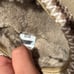 UGG Tasman Antilope Size 7 Womens Brand New