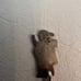 Mexican Sterling 23 Hordoevres picks marked Sterling, not tested.