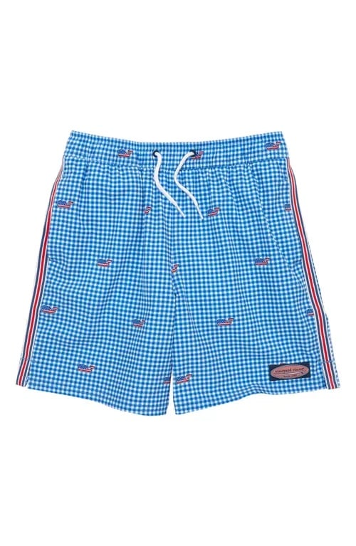 NWT Vineyard Vines Chappy Swim Trunks