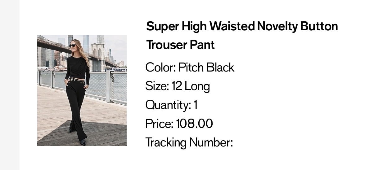 Women’s Express High Waisted Pants- Black Size 12L