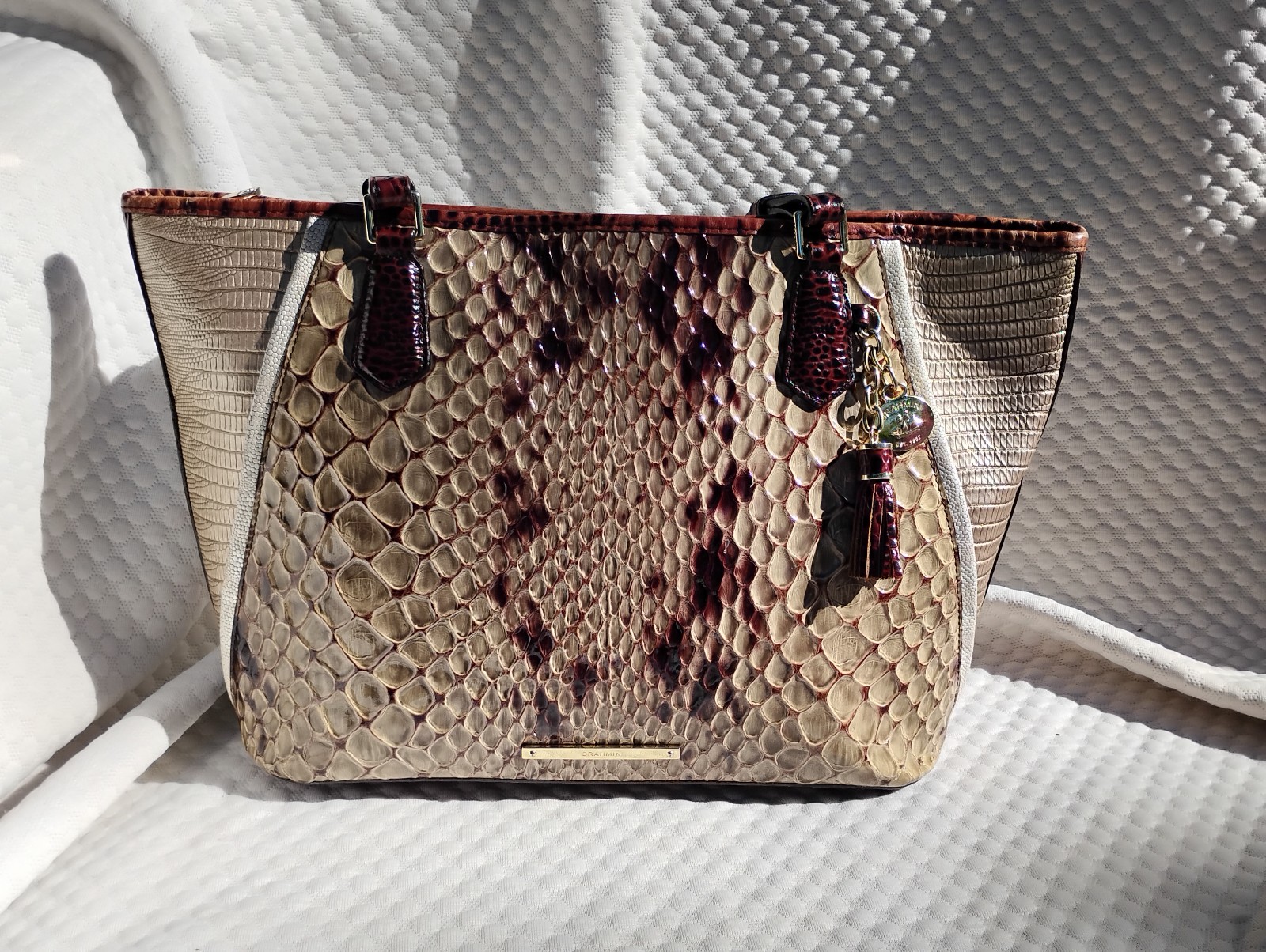 Brahmin Asher in Sky Carlisle