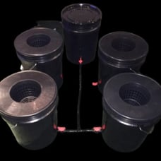 4 Plant DWC Deep Water Culture Hydroponic System With Reservior