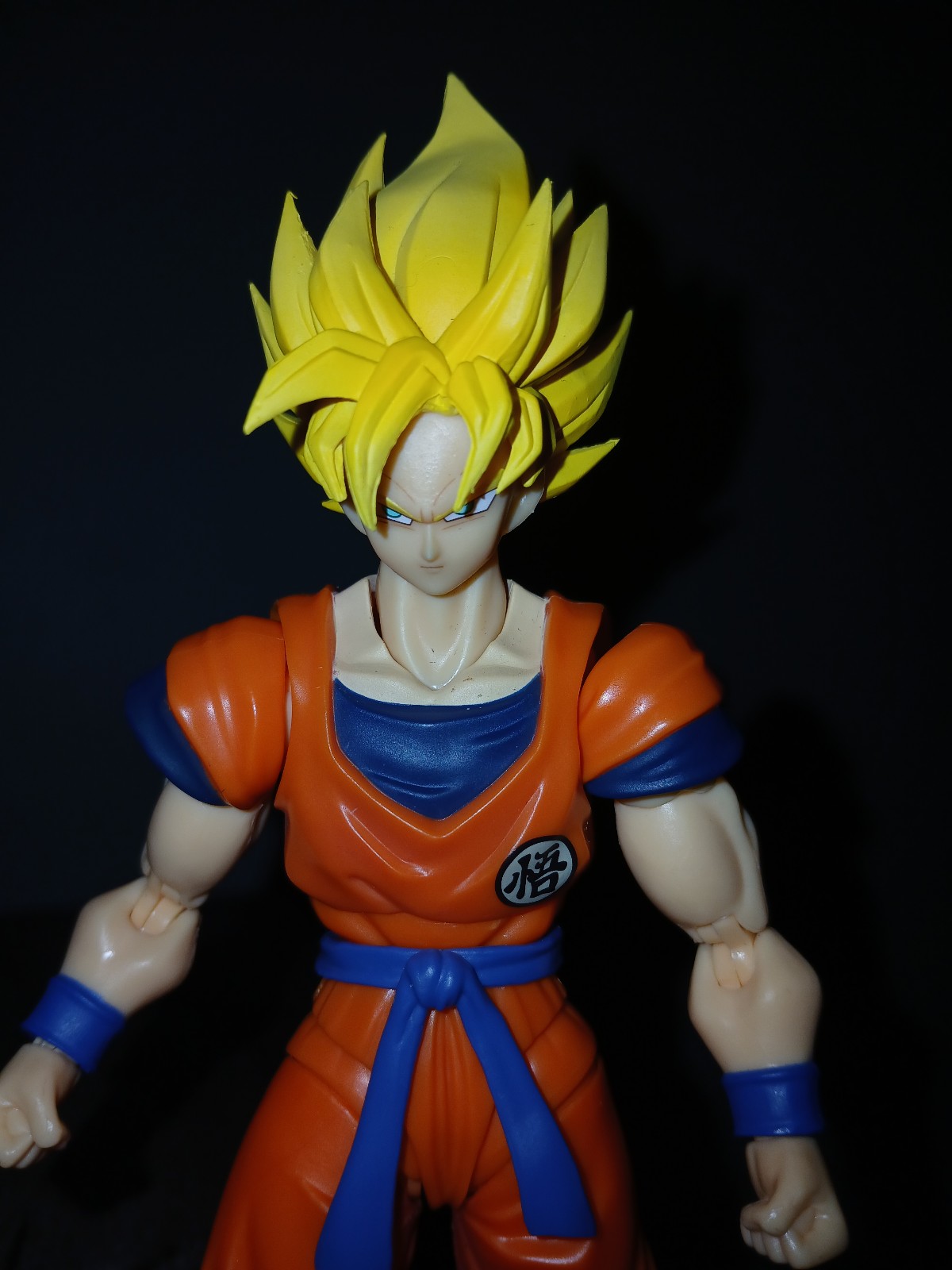 Sh figuarts goku custom
