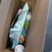 Brand New Fisher Price 2 in 1 projection mobile
