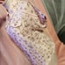 Liz Lisa Floral Lace Blouse Top Size Small Y2K Jfashion Harajuku Lolita Coquette
