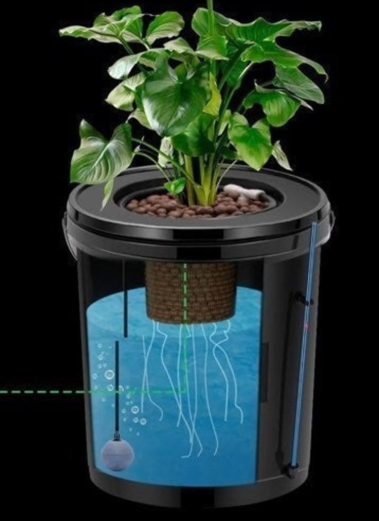 4 Plant DWC Deep Water Culture Hydroponic System With Reservior