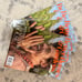 Harry Styles Better Homes and Gardens