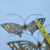 4 x Vintage Korean solid Brass butterfly hanging art decor 8.5 to 14.5