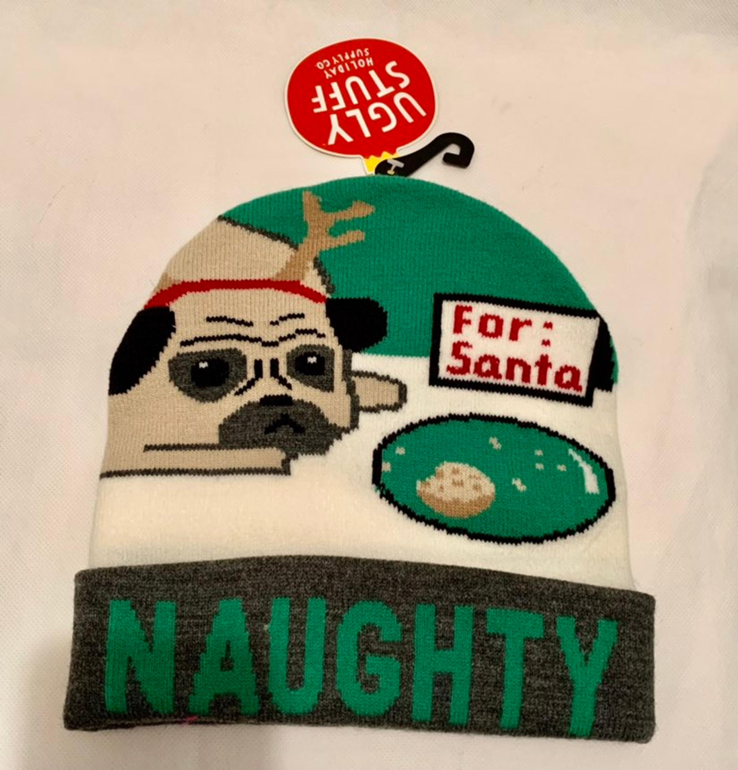 NWT Christmas Beanie/Hat