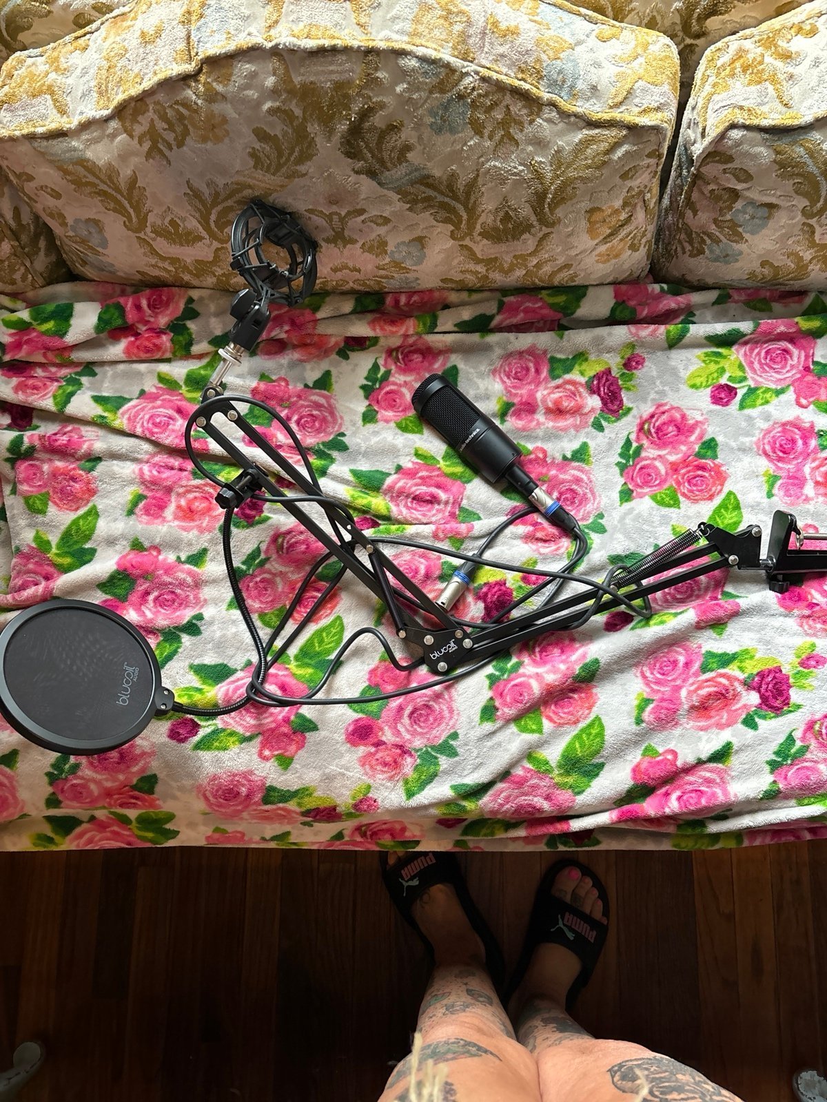 Microphone and stand