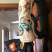 Standard Tula RetroBikes carrier w/ pads