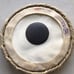 TABLA SKIN (Replacement Shell/Skin)