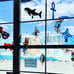 Stained Glass Orca Suncatcher