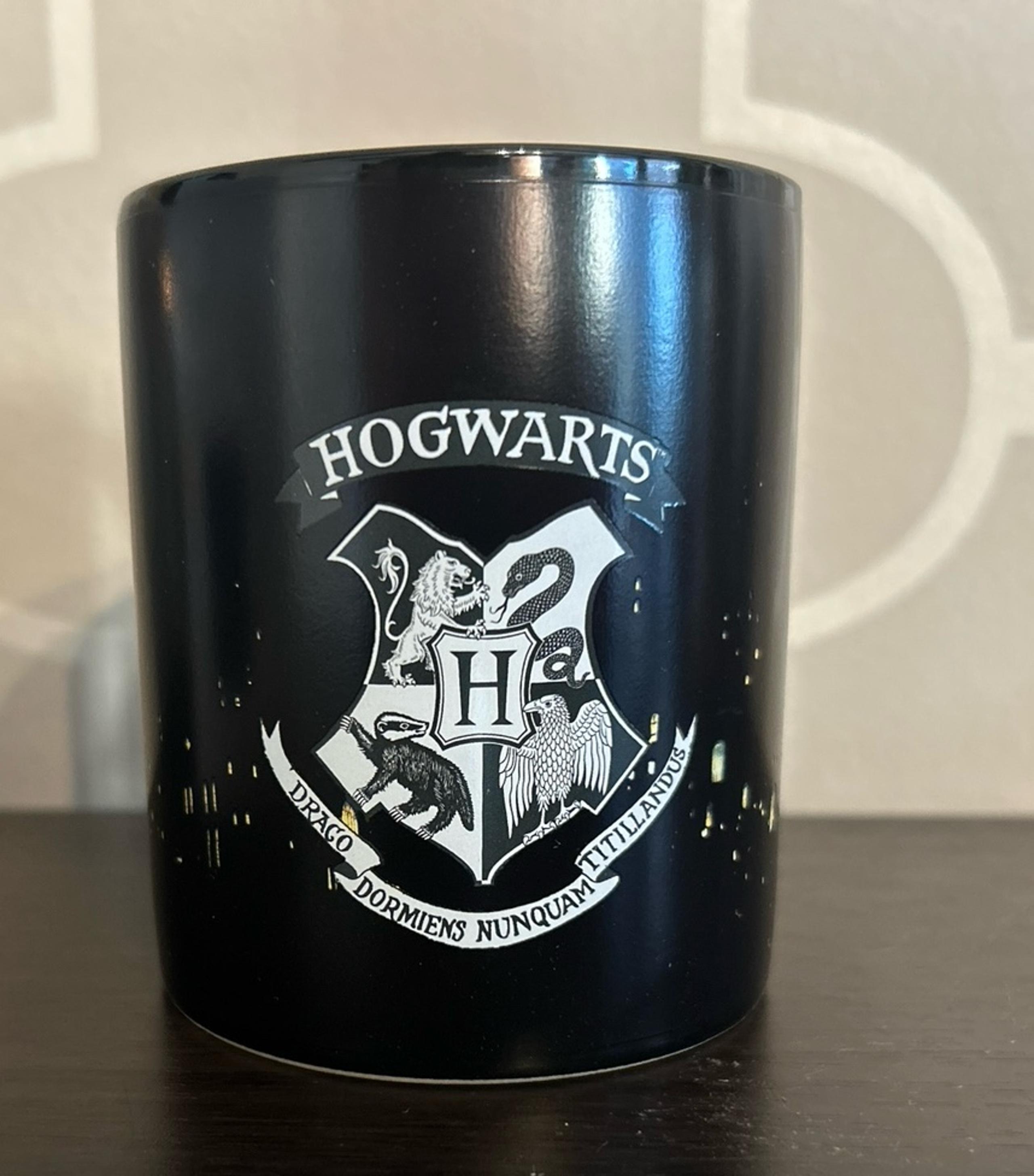 Harry Potter Heat Change Mug