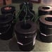 6-Plant (RDWC) DWC hydroponic system W/ main control reservoir (35-Gallons)