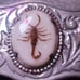 Vintage preserved scorpion belt buckle