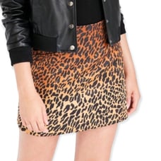 Ecote Cheetah Print Skirt