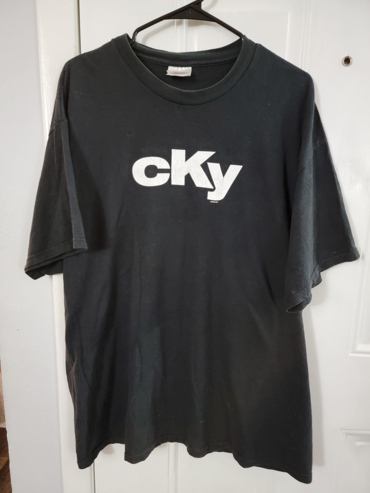 Vintage 2003 CKY Camp Bam shirt