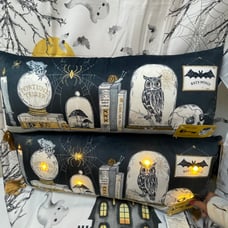 Halloween Mystic Apothecary Light Up Pillows Set of 2