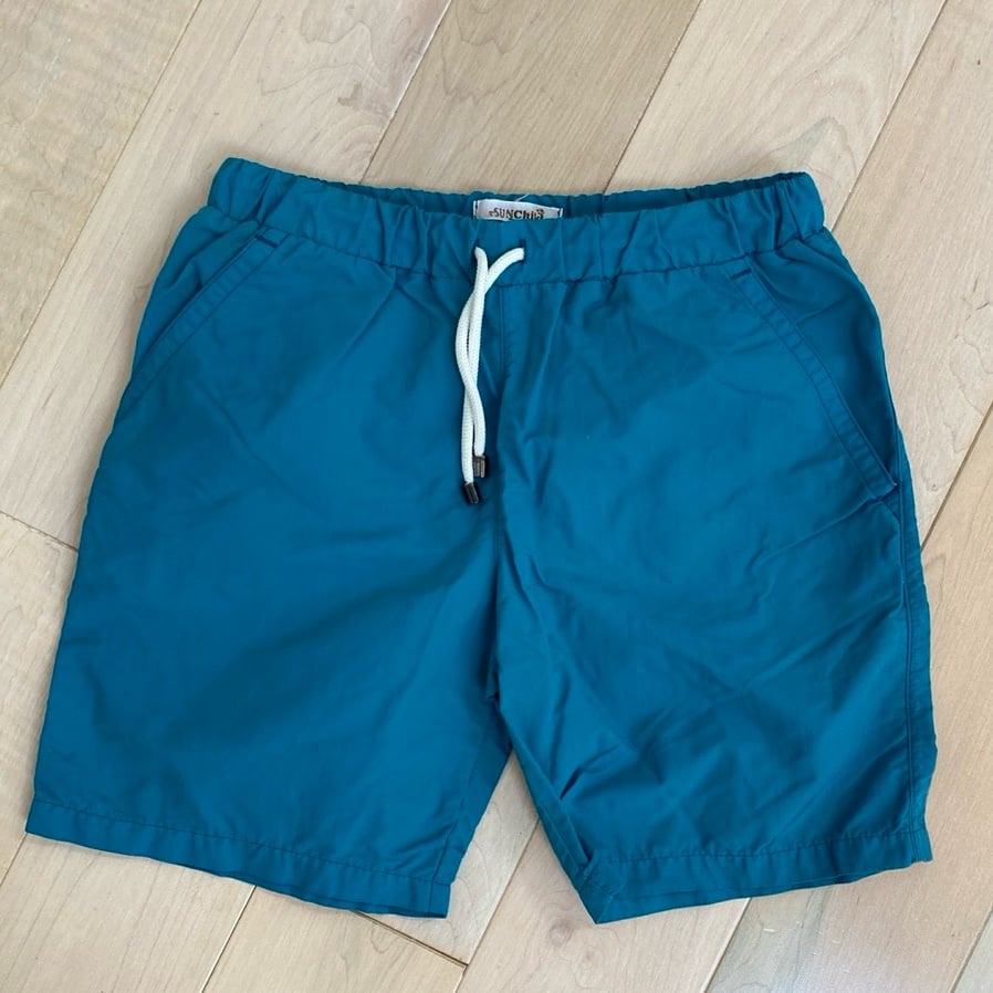 Sunchild boys teal France swimming shorts 8