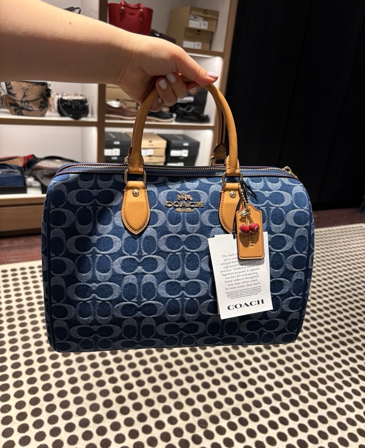 Coach Rowan Large Satchel Bag In Signature Canvas