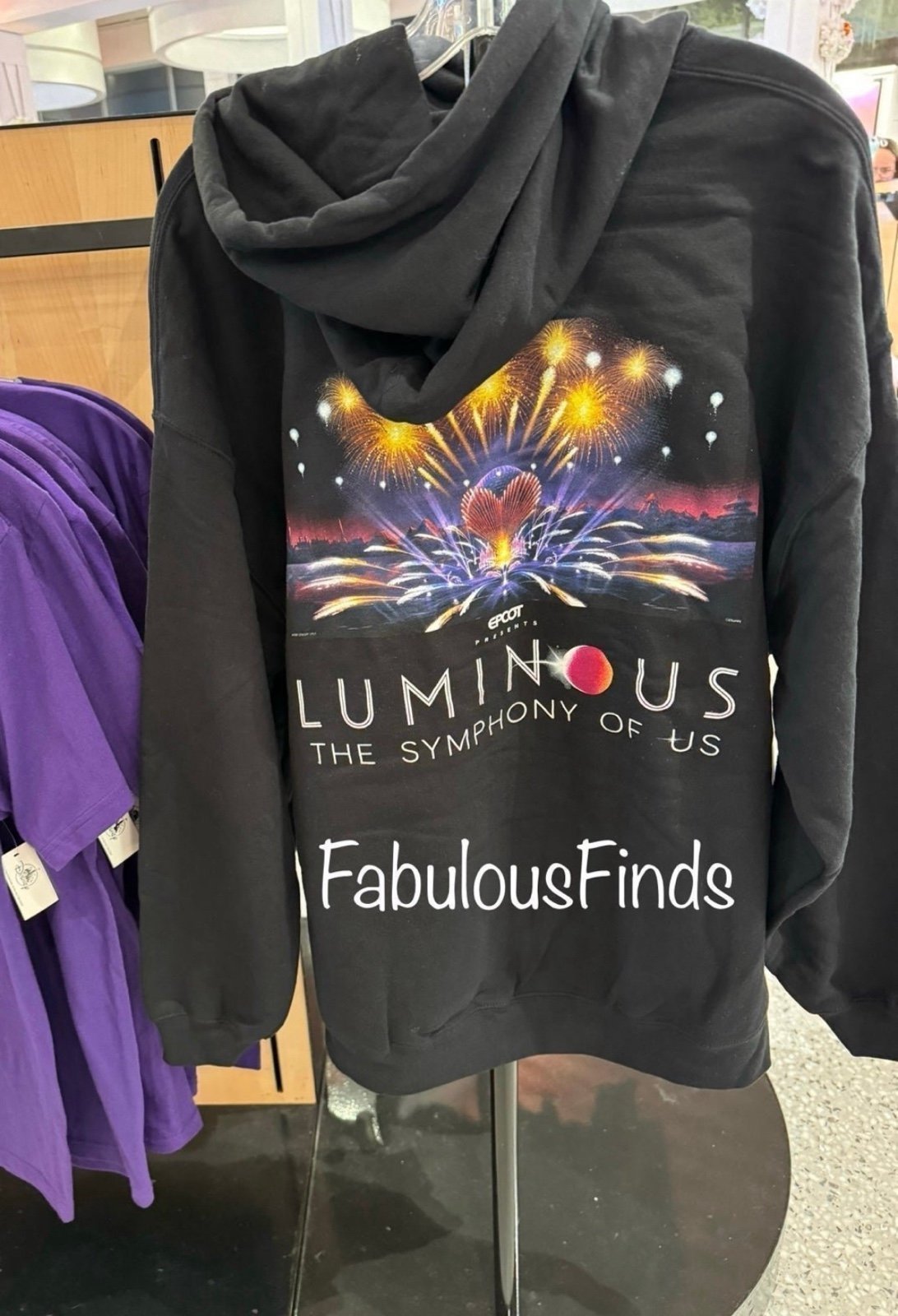 Disney Parks Epcot’s Luminous Pullover Hoodie