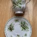 Rosina China Co Ltd