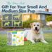Automatic Dog Ball Launcher -Fetch Machine, Ball Thrower for Dogs