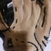 Rawlings GG Elite GGE1175HCBPT Glove Size 11-3/4 ** in very good condition!