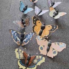 10 BEAUTIFUL BUTTERFLY