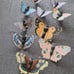 10 BEAUTIFUL BUTTERFLY