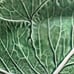 Vintage VTG Bordallo Pinheiro Cabbage Green Oval 14.5” Serving Platter Portugal