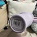 STANLEY 40oz Adventure Quncher OG Orchid. RARE!!!