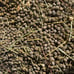 Organic Rabbit Bunny Poop Garden Lawn Fertilizer Hermit Crab Food - Gal Bag