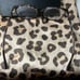 FENDI glasses & case