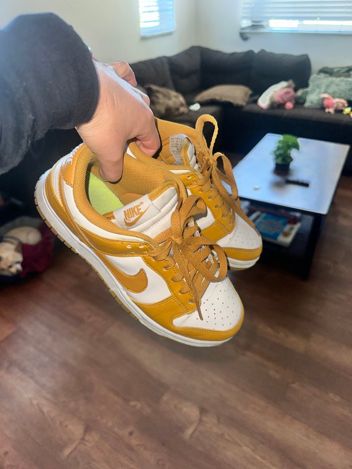 Nike dunk