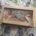 P. Louise A Desert Full of Desire 42 Pan Eyeshadow Palette New In Box