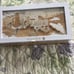 P. Louise A Desert Full of Desire 42 Pan Eyeshadow Palette New In Box