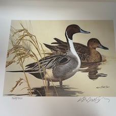 Ken Carlson 1982 Duck Print Signed & Numbered