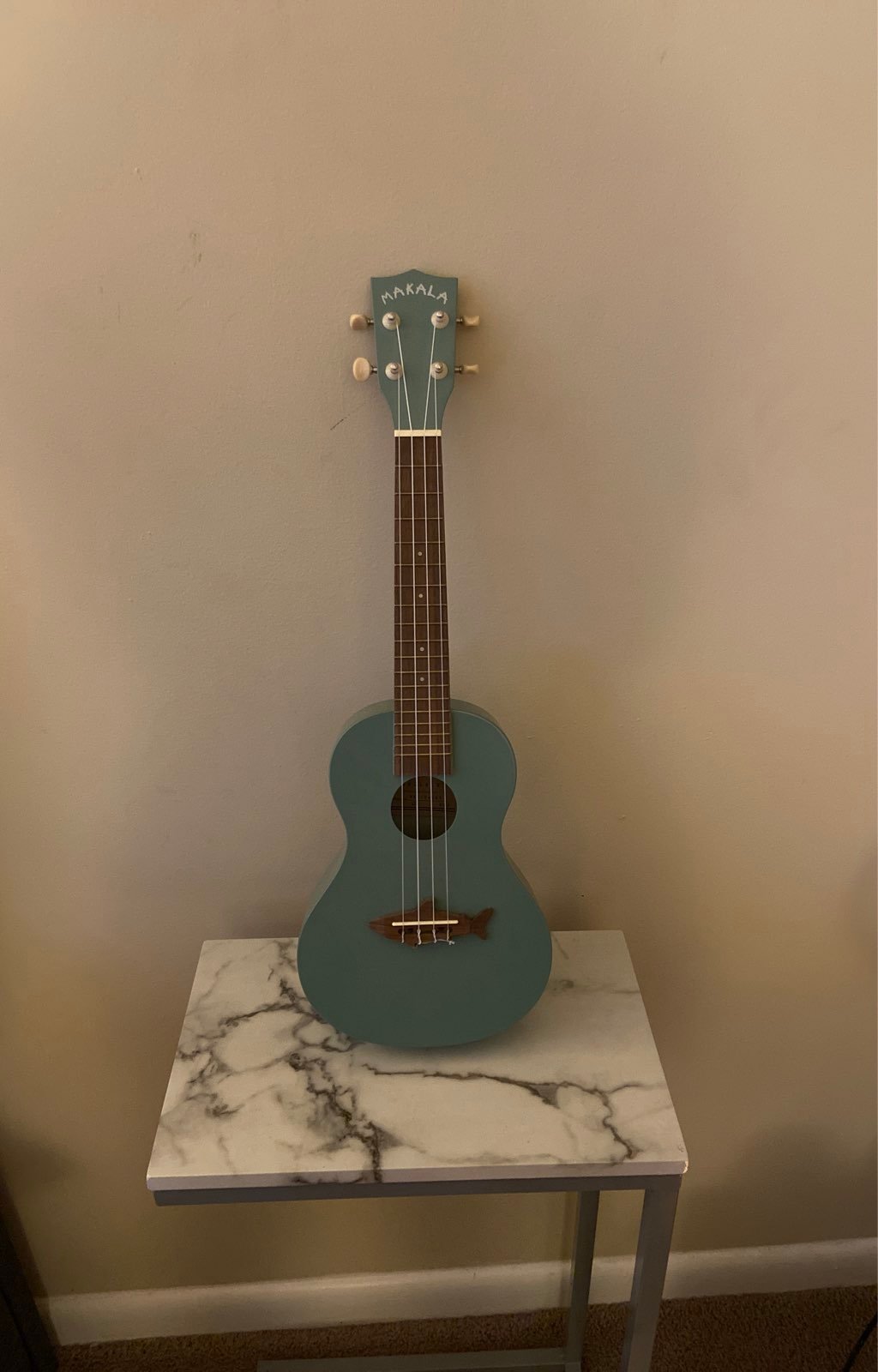 Ukuele and Song Book.