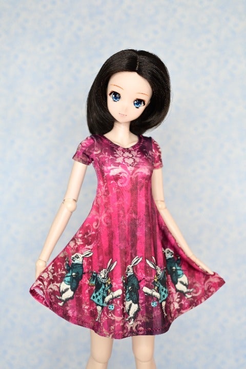 Smart Doll & Dollfie Dream Clothes Dress 1/3 BJD Doll Alice in Wonderland