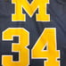 NCAA Michigan Wolverines basketball jrsy