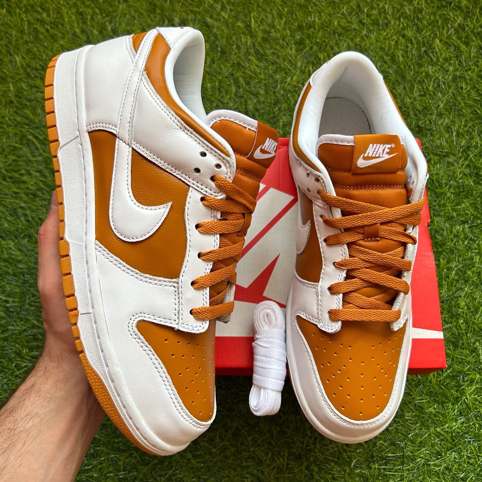 NEW Nike Dunk Low Reverse Curry Men’s Size 12