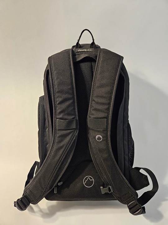 Lowepro Flipside 300 Camera Backpack (Black)