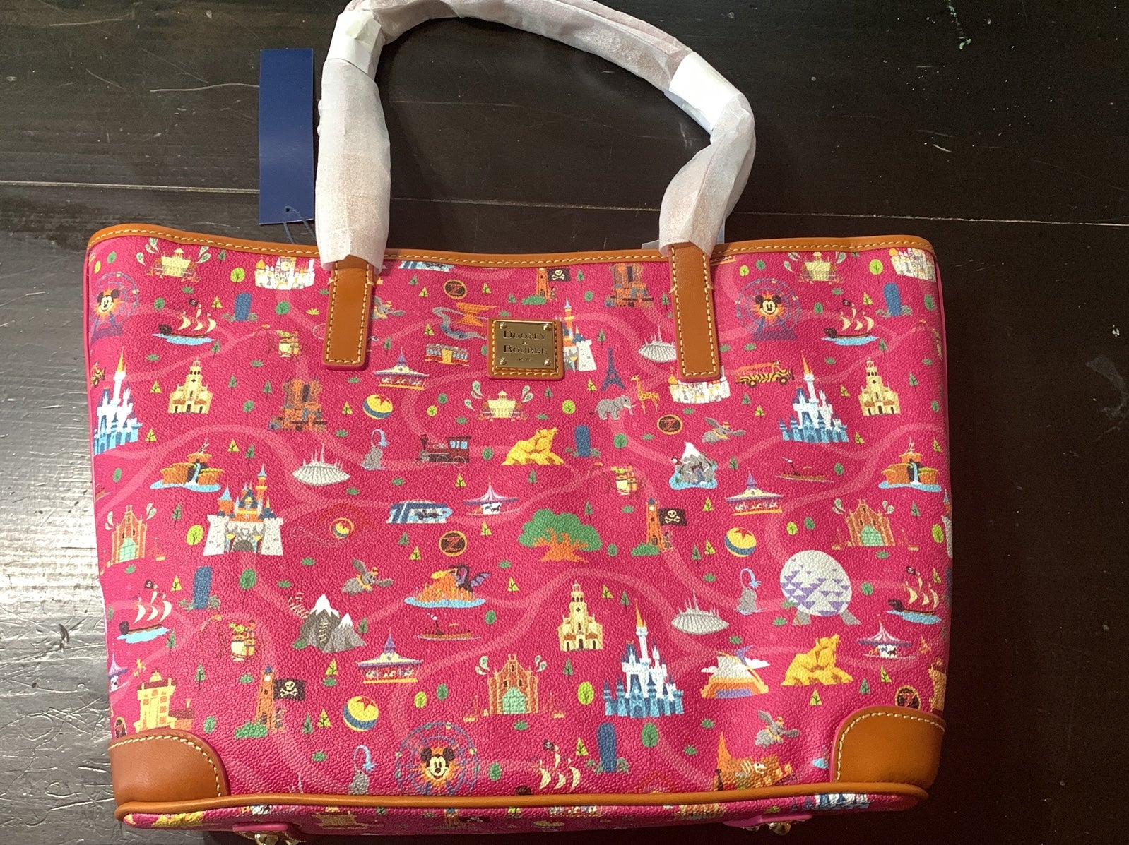 Dooney Disney Park life tote splash mountain
