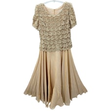 Michaelangelo Pink Iridescent Chiffon Lace Formal Short Sleeve Fit n Flare Dress