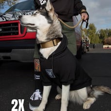Dixxon Flannel “FUR FRIENDS IN LOW PLACES DOG HOODIE” Size 2XL