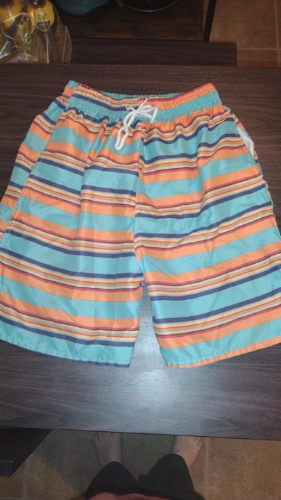 Mens Swim trunks