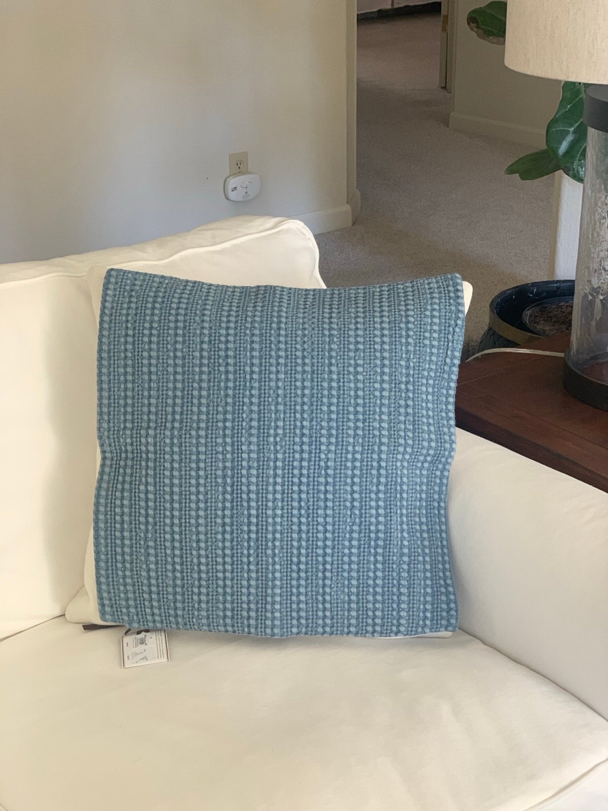NWT Pottery Barn pillow cover