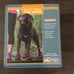 Kurgo Blaze Cross Dog Shoes XL